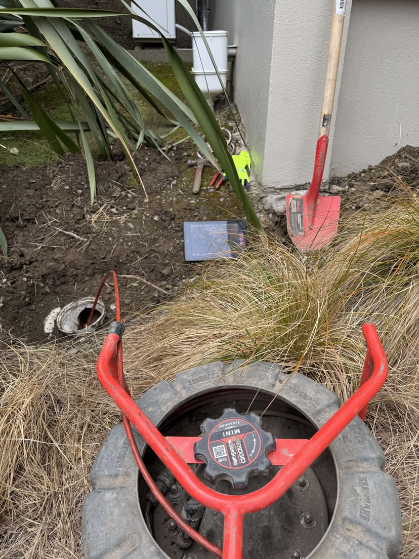 First feature alt text